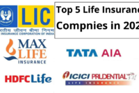 List Of 5 Star Life Insurance 2022